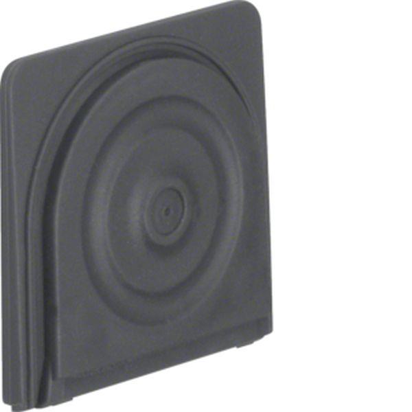 Berker Rohr- und Leitungseinführung W.1 grau