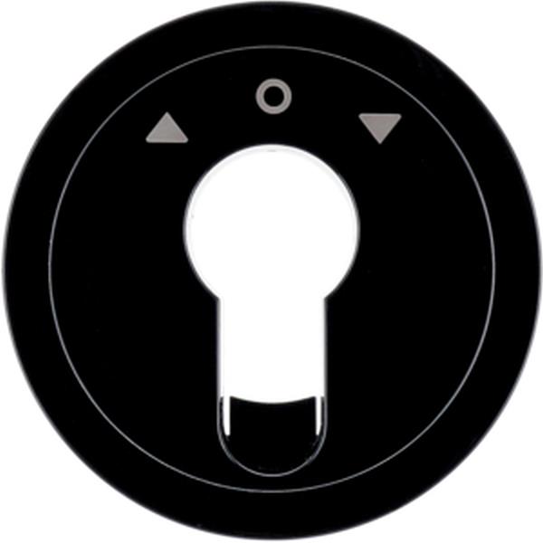 Berker Z-St. f. J-Schlüsselsch./-taster R.x sw.