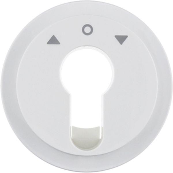 Berker Z-St. f. J-Schlüsselsch./-taster R.x pw.