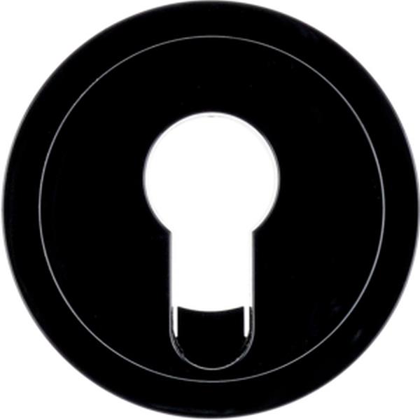 Berker Z-St. f. Schlüsselsch./-taster R.x sw.