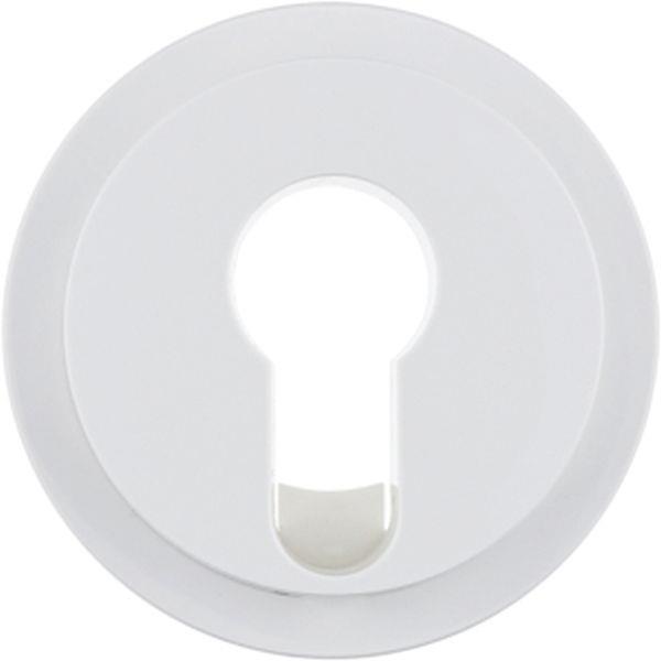 Berker Z-St. f. Schlüsselsch./-taster R.x pw.