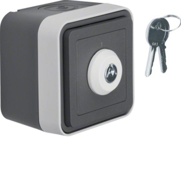 Berker Schlüssel-Scha Wechs 2 Pos 1 u 2 W.1 gr