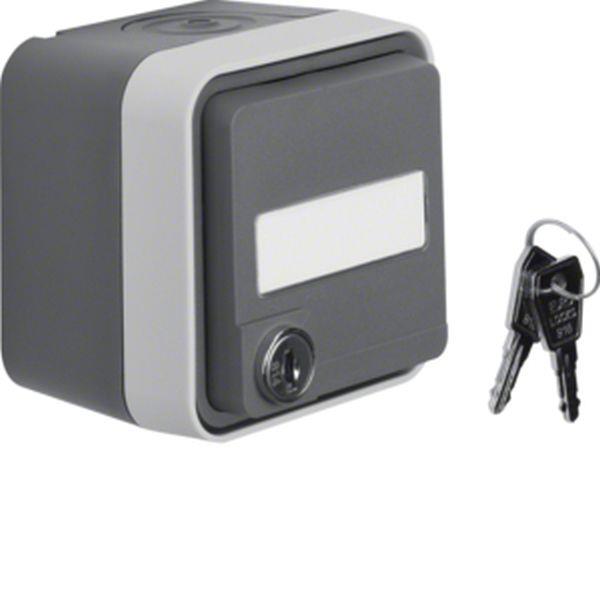 Berker Aufputzsteckdose SCHUKO mit Klappdeckel W.1, grau