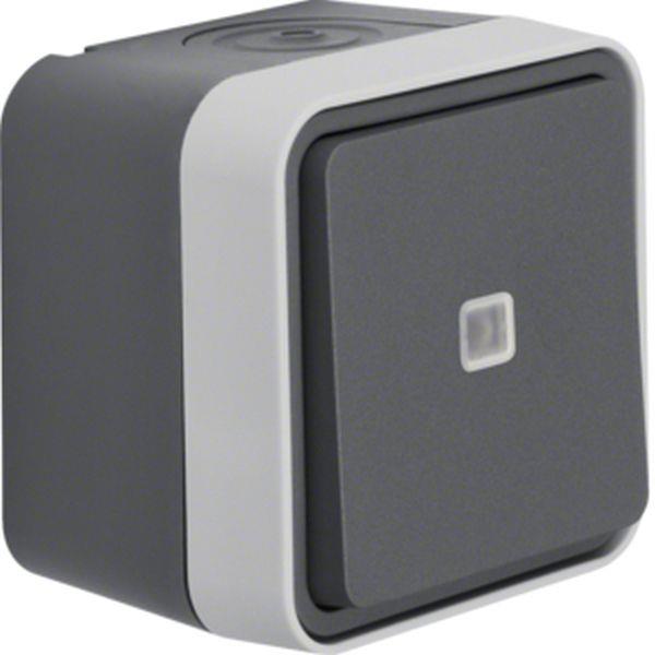 Berker Aufputztaster, Wechsler beleuchtet W.1 grau