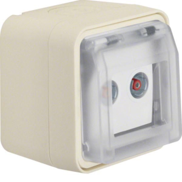 Berker Antennen-Std 2Lo Durchgangsdo AP W.1 pw