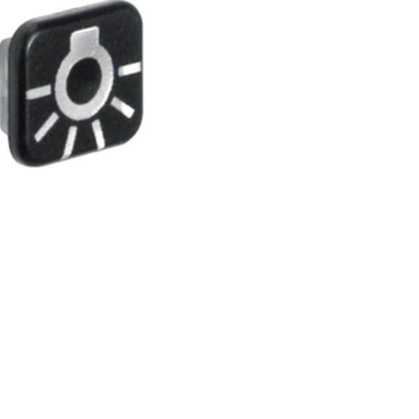 Berker Linse m Druck Sym Licht W.1 10er-Set