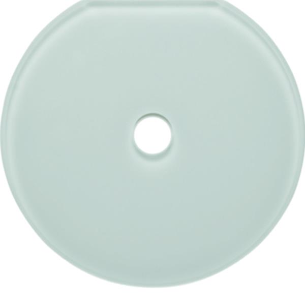 Berker Glas-Endplatte Schalter Serie Glas pw Berker Glas-Endplatte Schalter Serie Glas pw