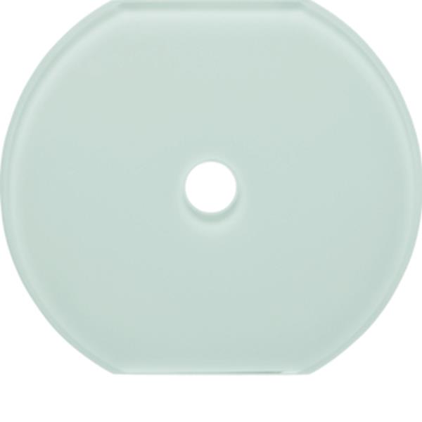 Berker Glas-Mittelplatte Schalter Serie Glas pw Berker Glas-Mittelplatte Schalter Serie Glas pw