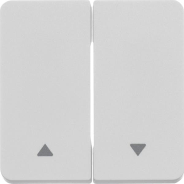 Berker Wippe 2fach mit Symbol Pfeil W.1 pw LT Berker Wippe 2fach mit Symbol Pfeil W.1 pw LT