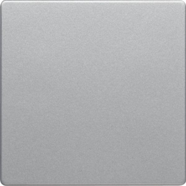 Berker Wippe Q.x alu samt lackiert Berker Wippe Q.x alu samt lackiert