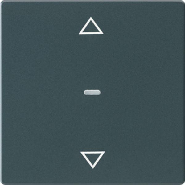 Berker Abdeck. Tast.-M. 1f. Pfeil Q.x anth