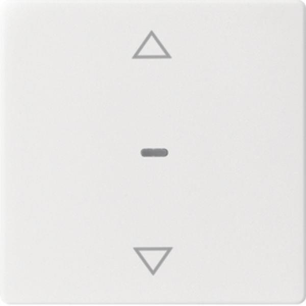 Berker Abdeck. Tast.-M. 1f. Pfeil Q.x pw