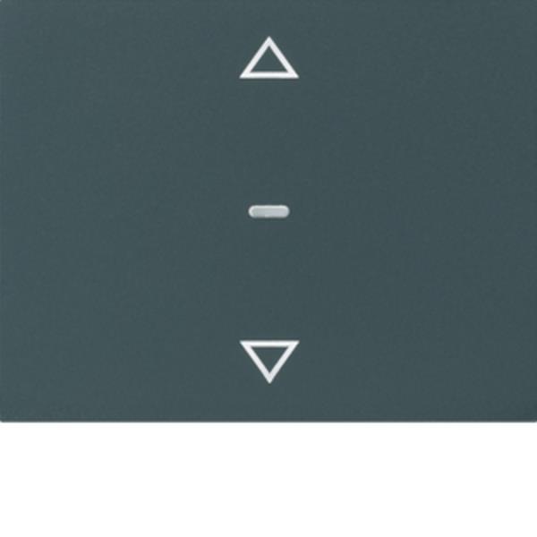 Berker Abdeck. Tast.-M. 1f. Pfeil K.x anth