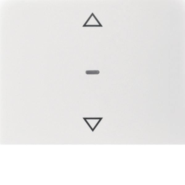 Berker Abdeck. Tast.-M. 1f. Pfeil K.x pw