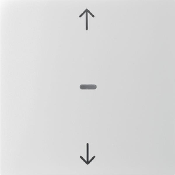 Berker Abdeck. Tast.-M. 1f. Pfeil S.1/B.x weiß