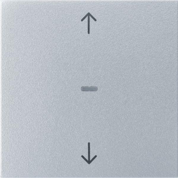 Berker Abdeck. Tast.-M. 1f. Pfeil S.1/B.x alu