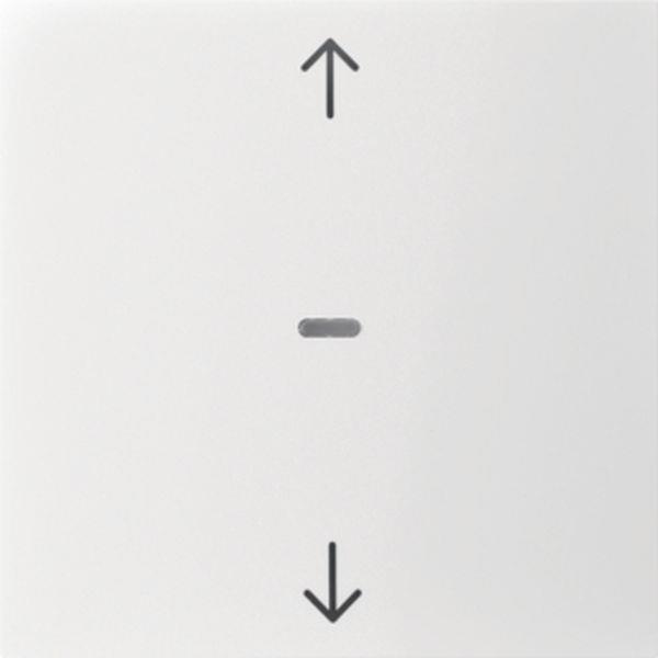 Berker Abdeck. Tast.-M. 1f. Pfeil S.1/B.x pw