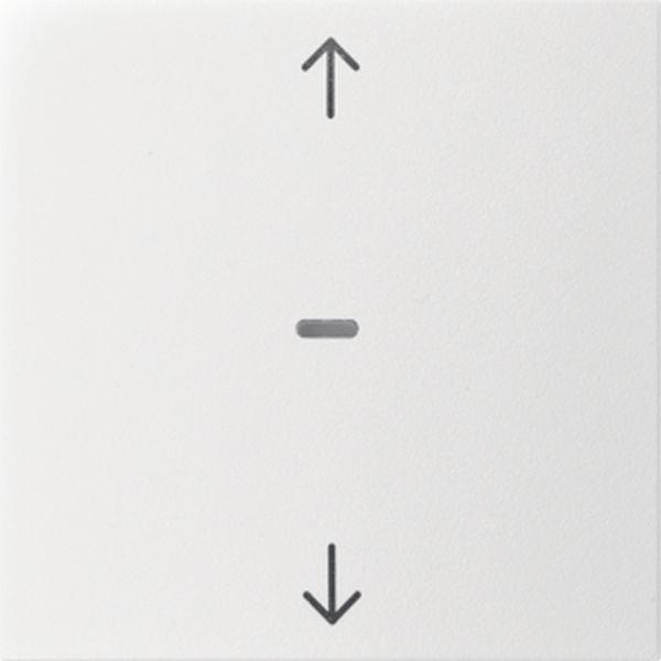 Berker Abdeck. Tast.-M. 1f. Pfeil S.1/B.x pw m