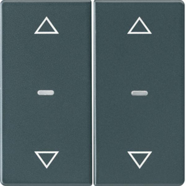 Berker Abdeck. Tast.-M. 2f. Pfeil Q.x anth