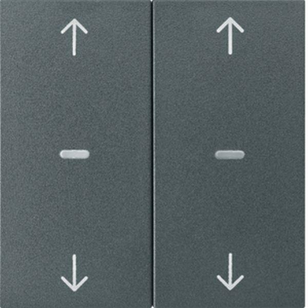 Berker Abdeck. Tast.-M. 2f. Pfeil S.1/B.x anth