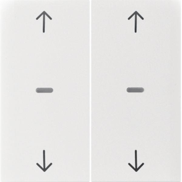 Berker Abdeck. Tast.-M. 2f. Pfeil S.1/B.x pw gl