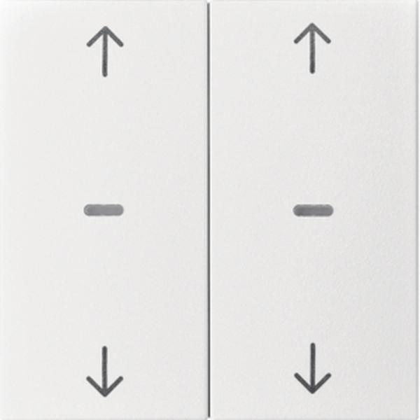 Berker Abdeck. Tast.-M. 2f. Pfeil S.1/B.x pw m