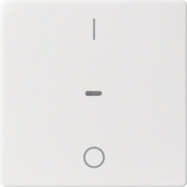 Berker Abdeck. Tast.-M. 1f. I/O Q.x pw