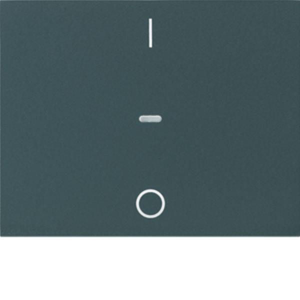 Berker Abdeck. Tast.-M. 1f. I/O K.x anth