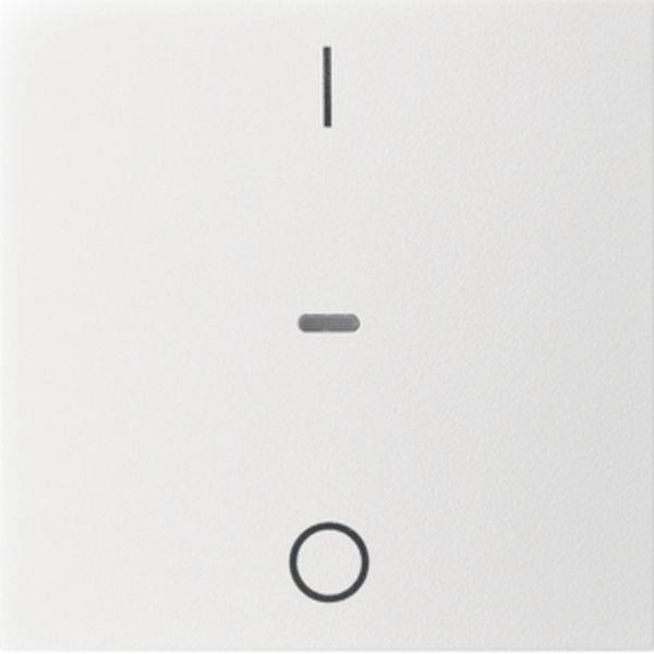 Berker Abdeck. Tast.-M. 1f. I/O S.1/B.x pw m