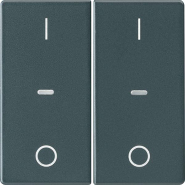 Berker Abdeck. Tast.-M. 2f. I/O Q.x anth