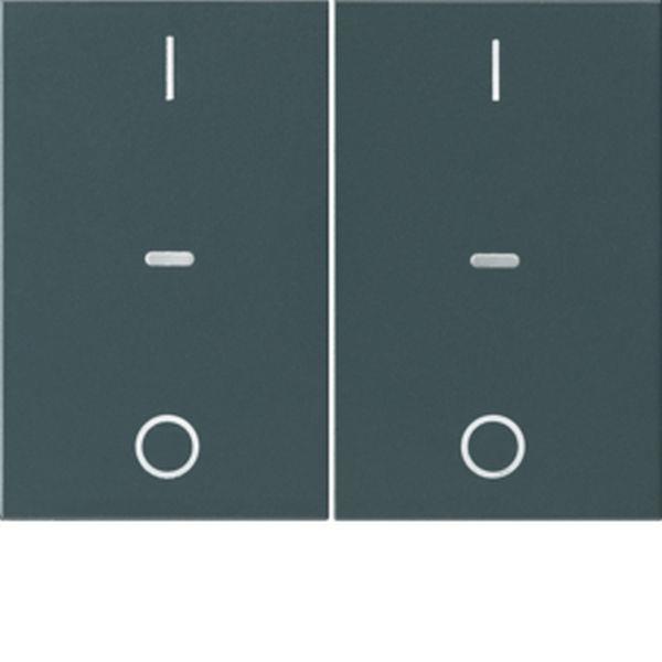 Berker Abdeck. Tast.-M. 2f. I/O K.x anth