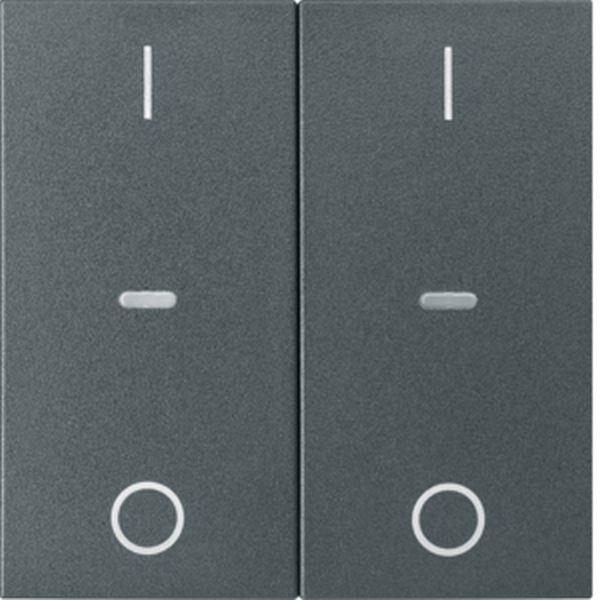 Berker Abdeck. Tast.-M. 2f. I/O S.1/B.x anth