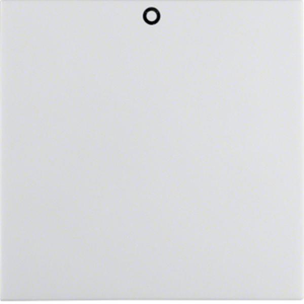 Berker Wippe Auf 0 und Befest S.1 IP44 pw gl