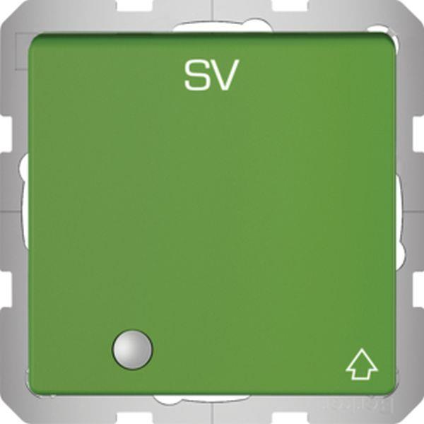 Berker Steckdose SCHUKO m. KLPD u. LED Q.x grün