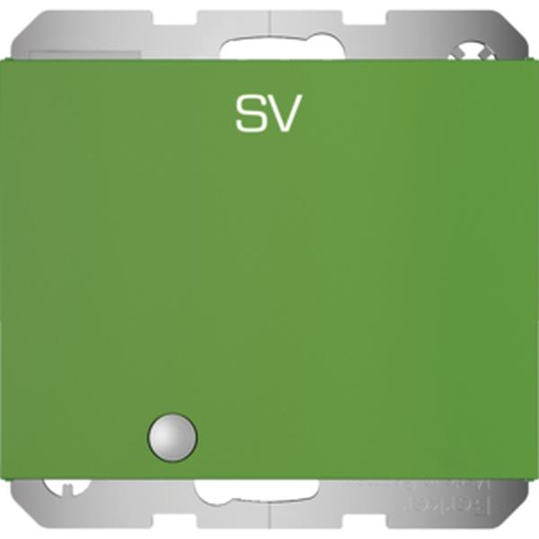 Berker Steckdose SCHUKO m. KLPD u. LED K.x grün