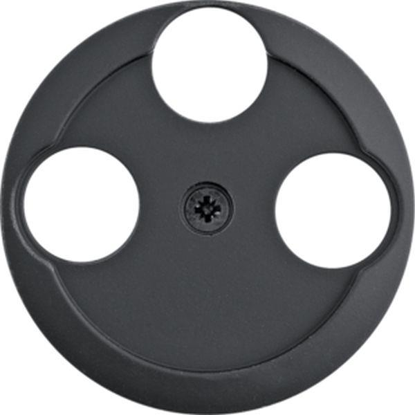 Berker Zentralstück 1930 softtouch schw.