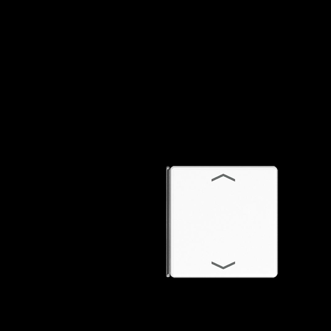 Jung Taste 1+4, F40, mit Pfeilsymbolen, Thermoplast, Serie AS/A, alpinweiß