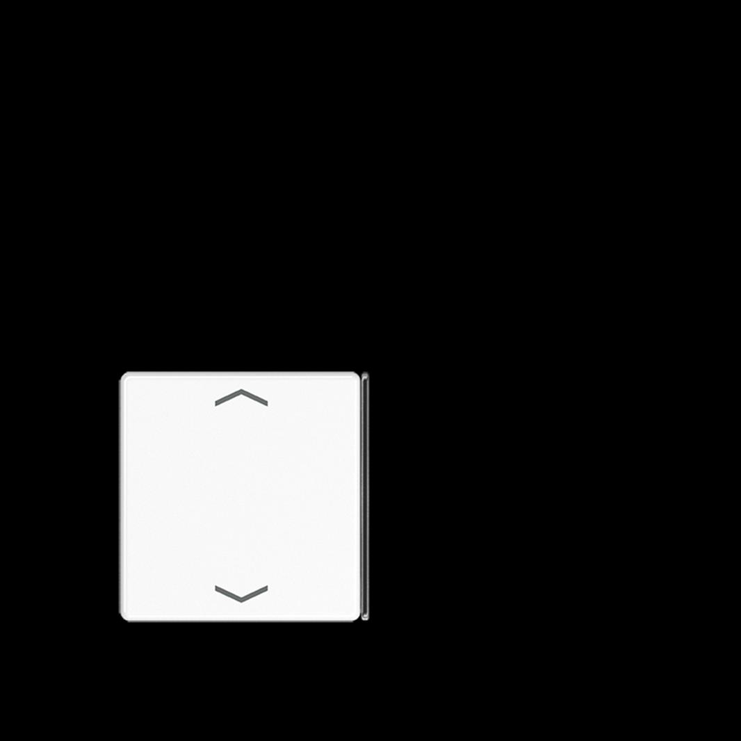 Jung Taste 2+3, F40, mit Pfeilsymbolen, Thermoplast, Serie AS/A, alpinweiß