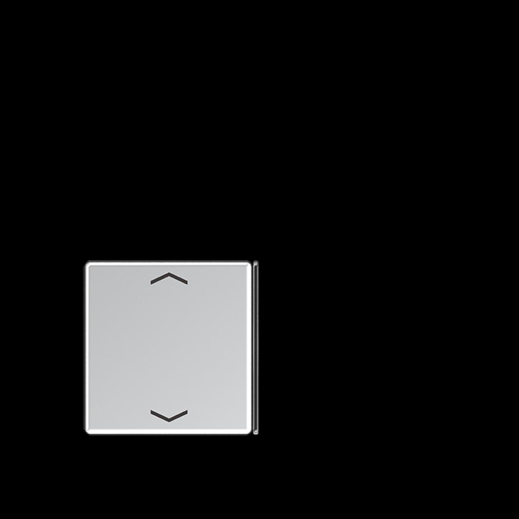 Jung Taste 2+3, F40, mit Pfeilsymbolen, Thermoplast lackiert, Serie A, aluminium