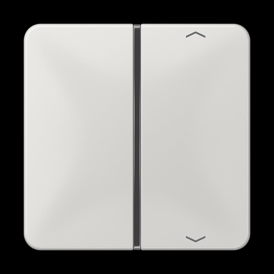 Jung Taste, F40, mit Pfeilsymbolen, Thermoplast, Serie CD, lichtgrau