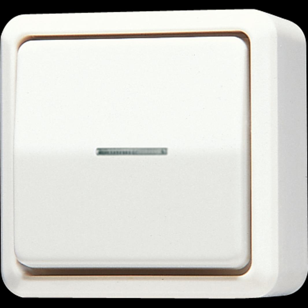 Jung Wipp-Kontrollschalter, Universal Aus-Wechsel, 10 AX 250 V ~, AP 600, weiß