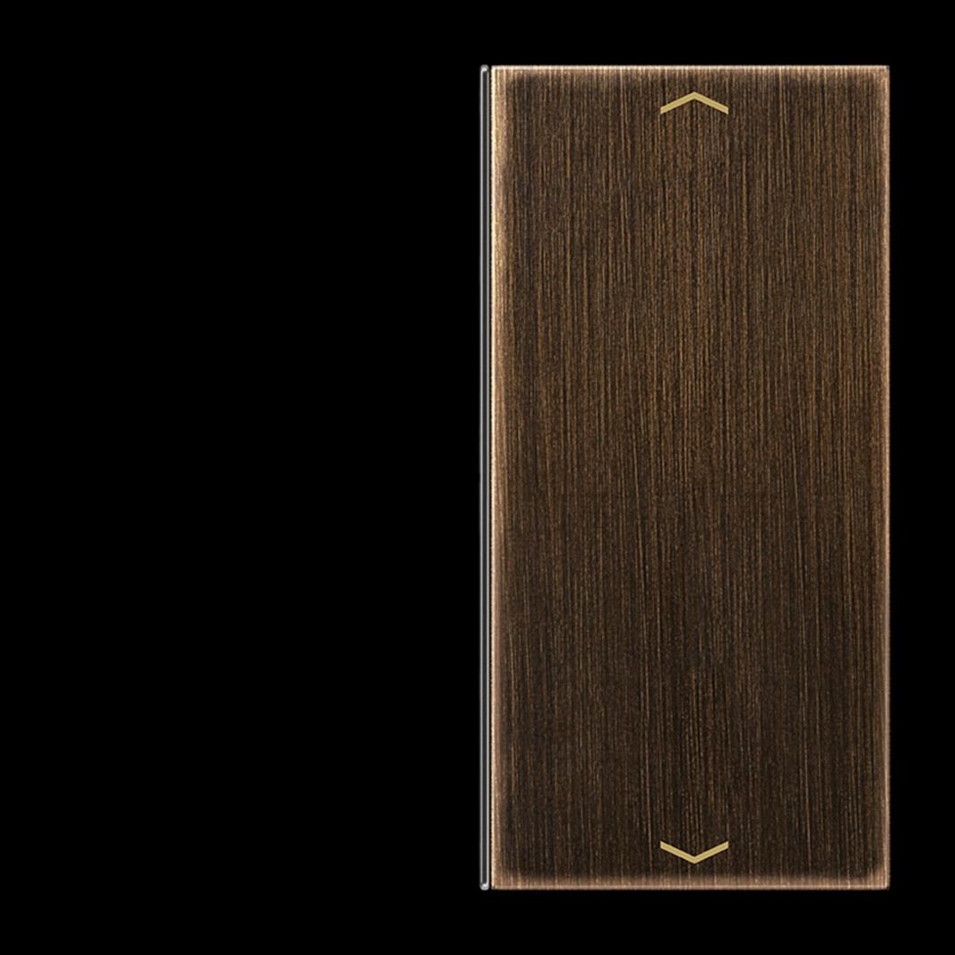 Jung Taste, F40, mit Pfeilsymbolen, Serie LS, Messing antik