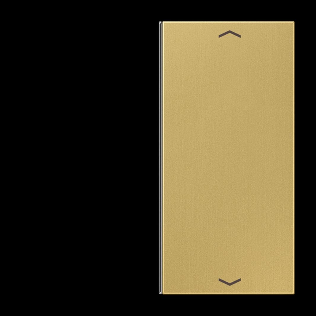 Jung Taste, F40, mit Pfeilsymbolen, Serie LS, Messing classic