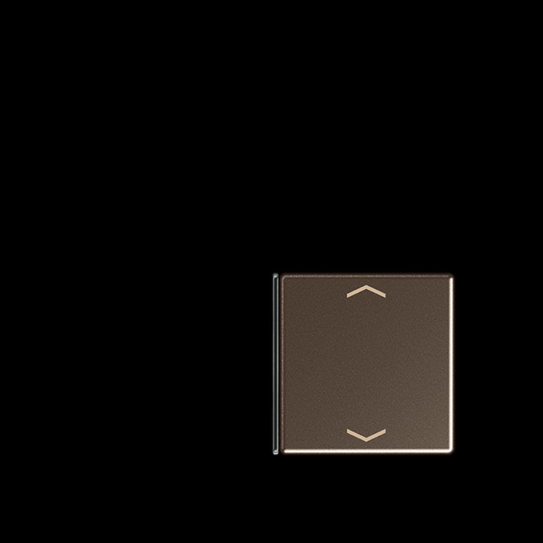 Jung Taste 1+4, F40, mit Pfeilsymbolen, Thermoplast lackiert, Serie A, mokka