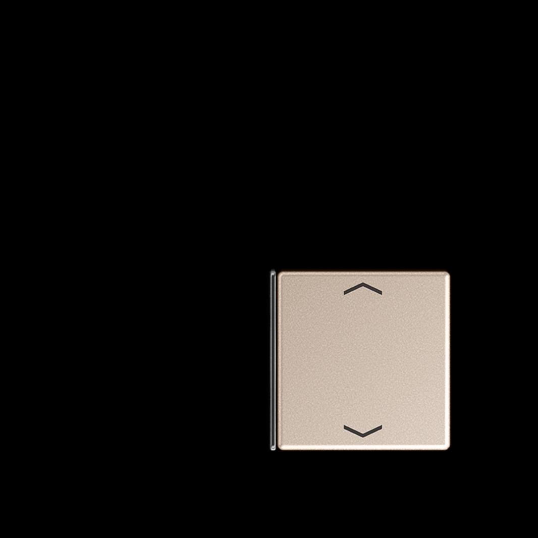 Jung Taste 1+4, F40, mit Pfeilsymbolen, Thermoplast lackiert, Serie A, champagne