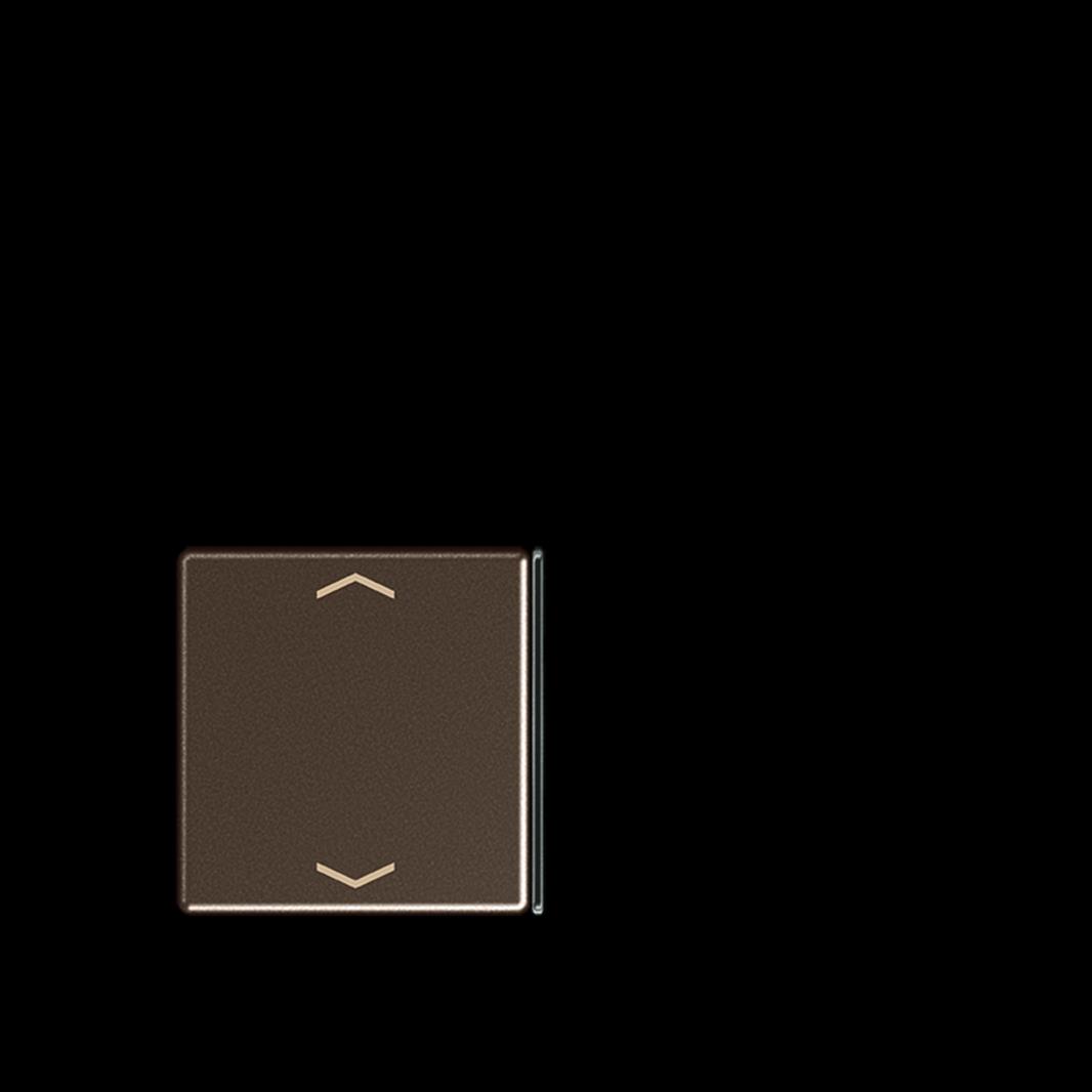 Jung Taste 2+3, F40, mit Pfeilsymbolen, Thermoplast lackiert, Serie A, mokka