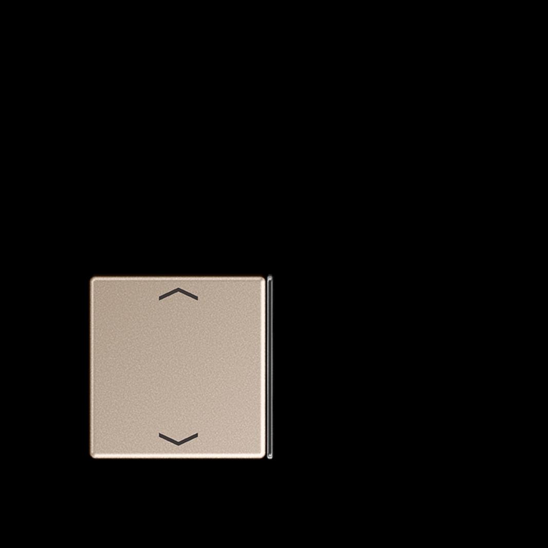 Jung Taste 2+3, F40, mit Pfeilsymbolen, Thermoplast lackiert, Serie A, champagne