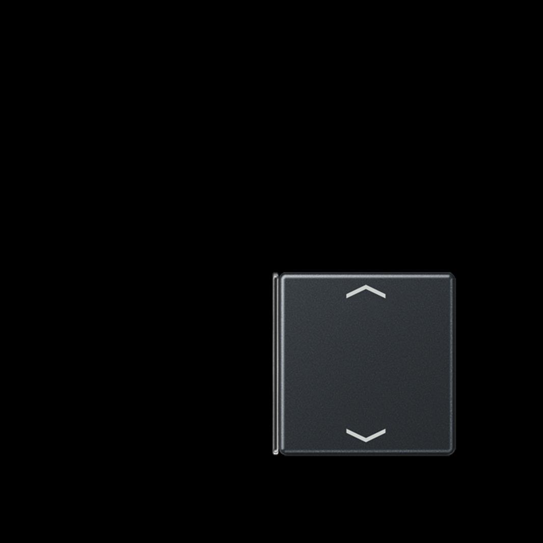 Jung Taste 1+4, F40, mit Pfeilsymbolen, Thermoplast lackiert, Serie A, anthrazit