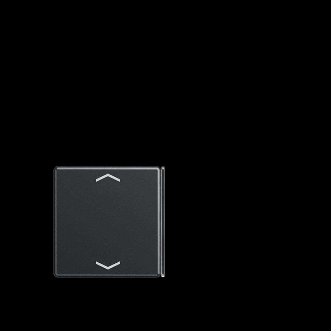 Jung Taste 2+3, F40, mit Pfeilsymbolen, Thermoplast lackiert, Serie A, anthrazit