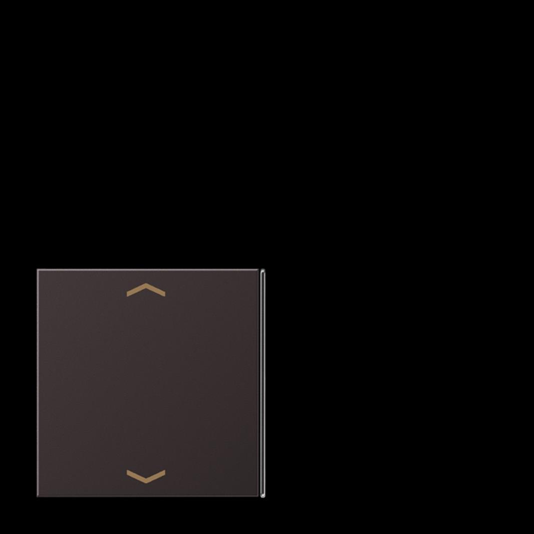 Jung Taste 2+3, F40, mit Pfeilsymbolen, Aluminium lackiert, Serie LS, dark